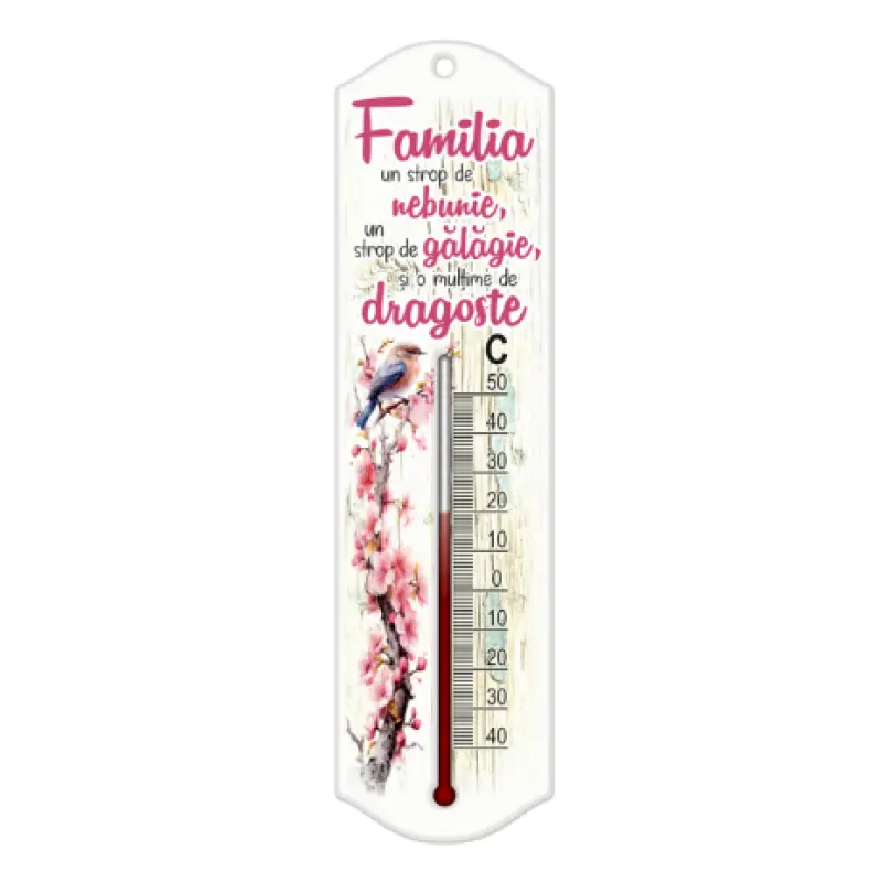 Familia un strop de nebunie, termometru lemn cu mesaj, model es18622_14